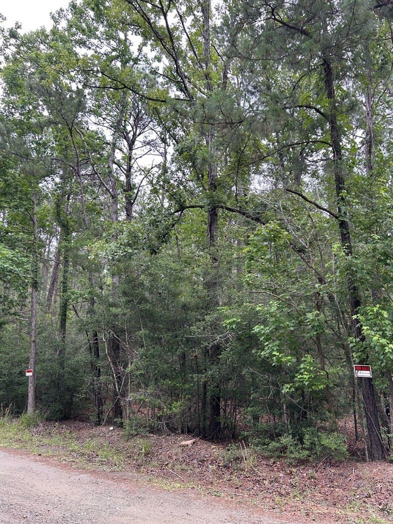 0.19 acres in Texas County gallery image 3