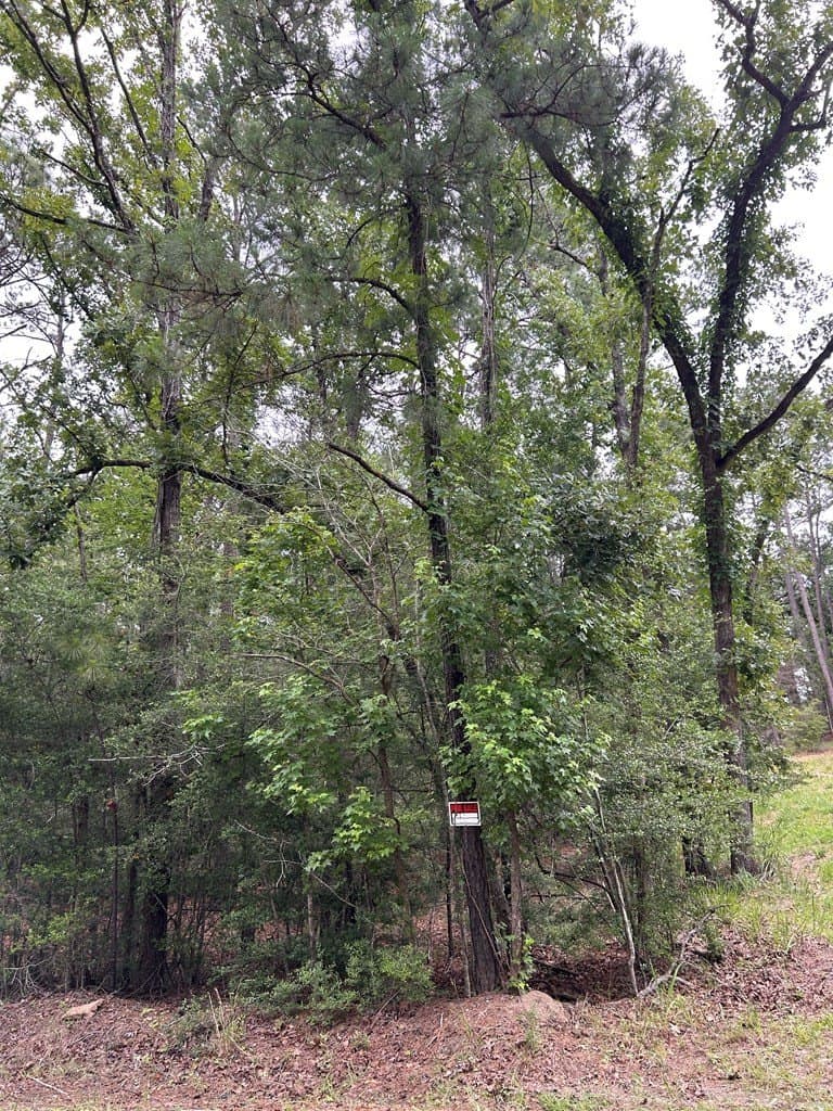0.19 acres in Texas County gallery image 4