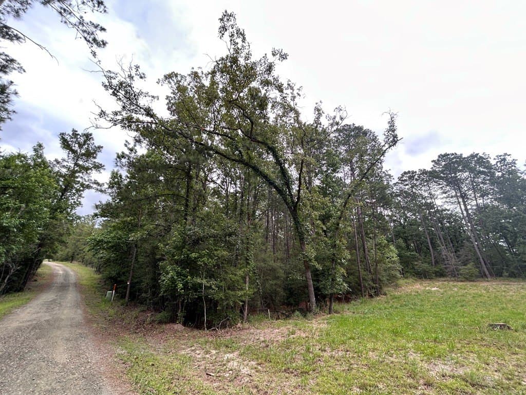 0.19 acres in Texas County - photo 9