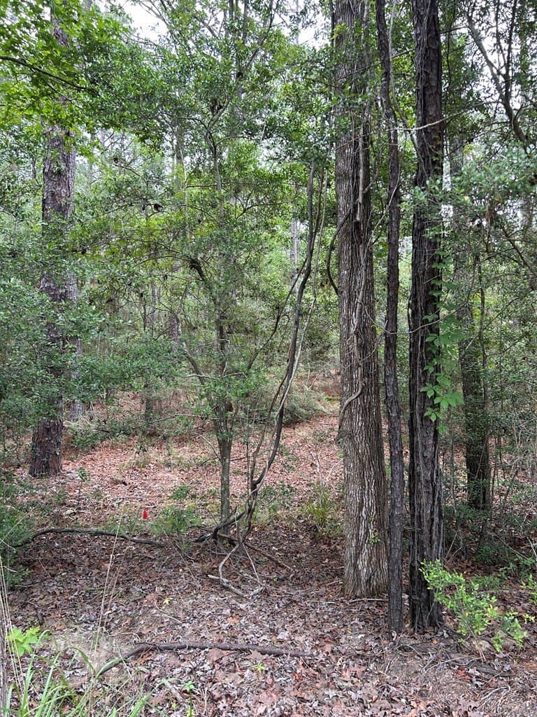 0.19 acres in Texas County featured view