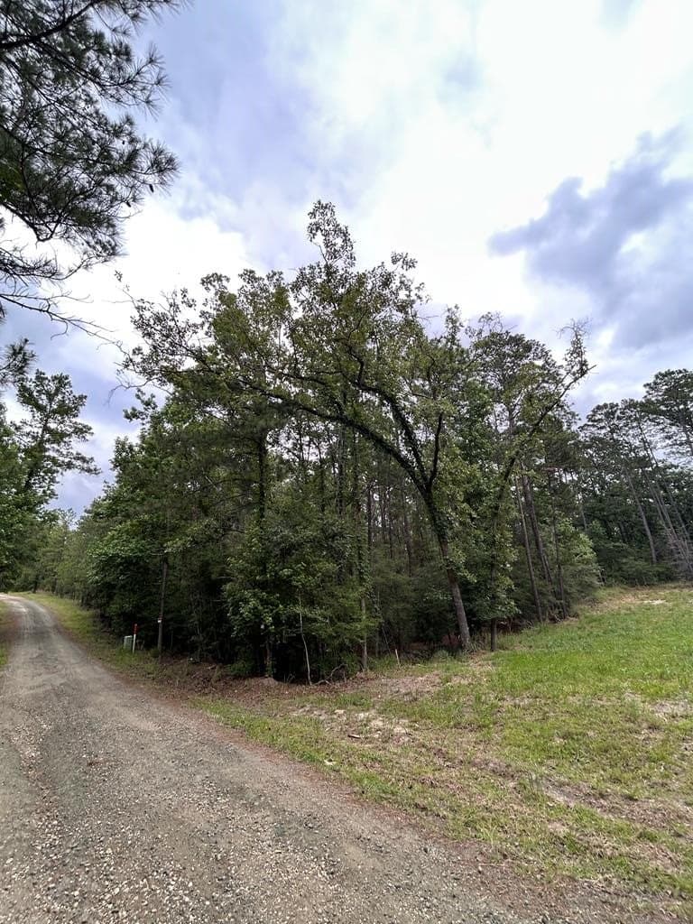 0.19 acres in Texas County