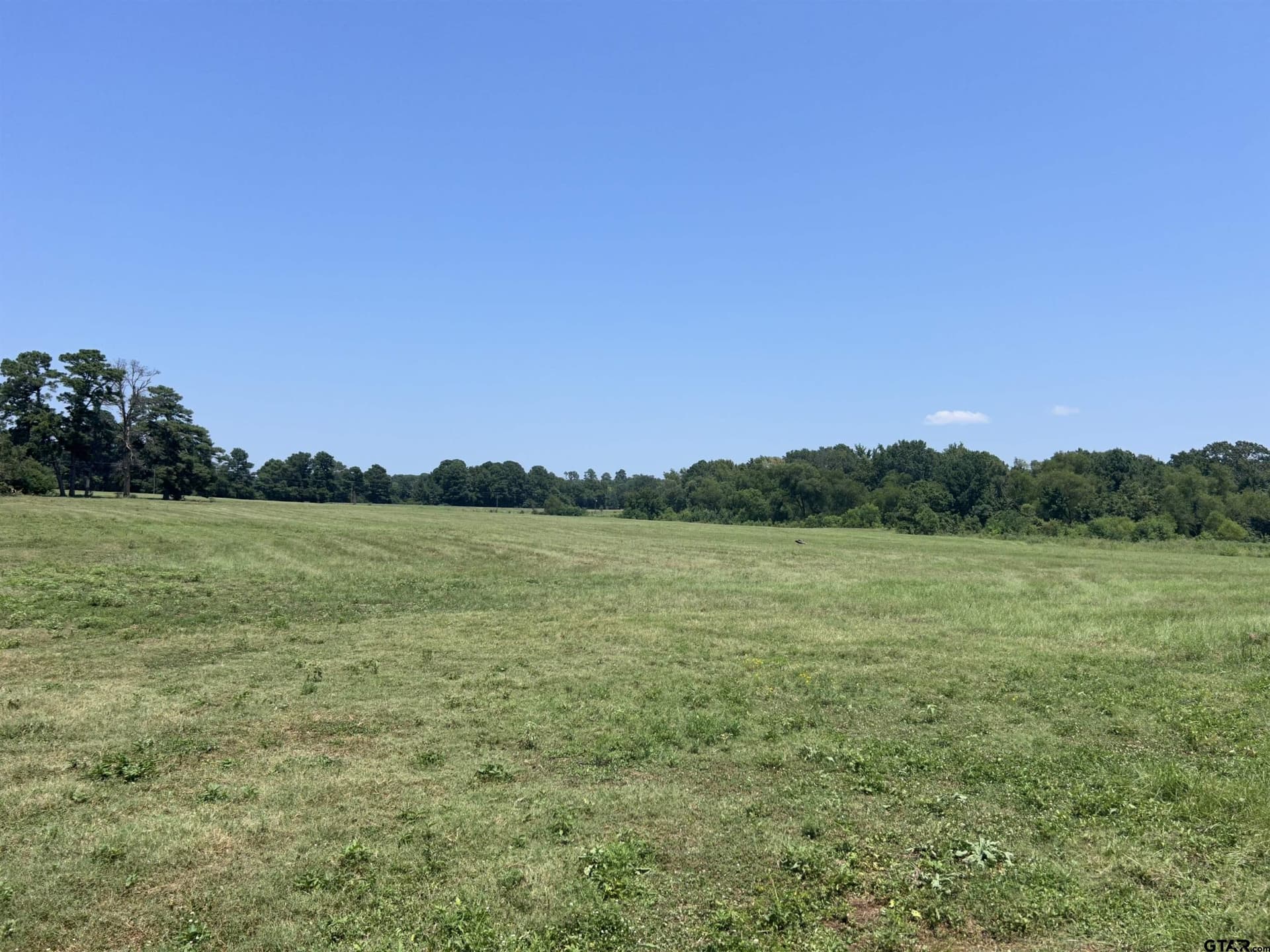 41 acres in Smith County gallery image 2