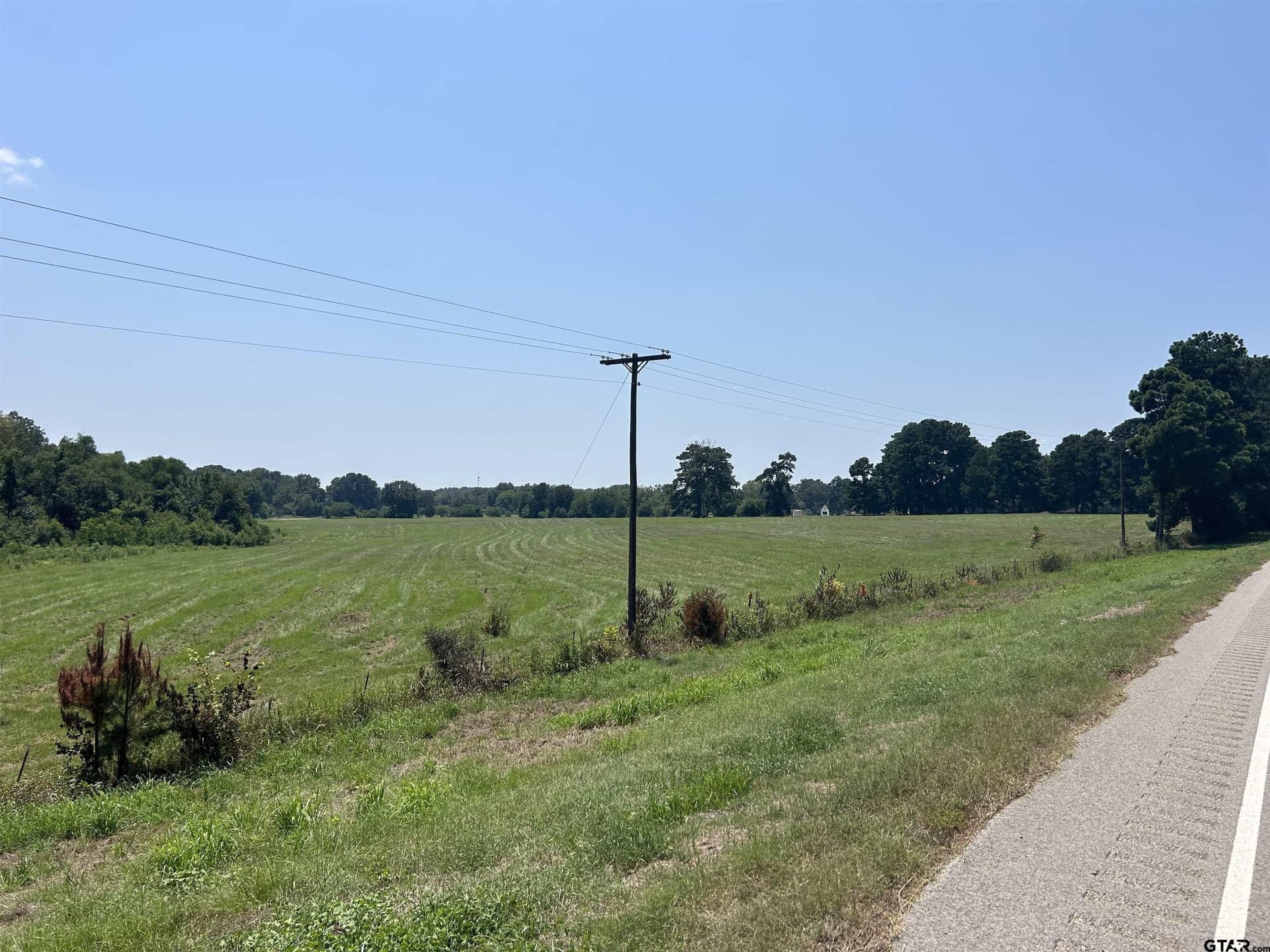 41 acres in Smith County gallery image 4