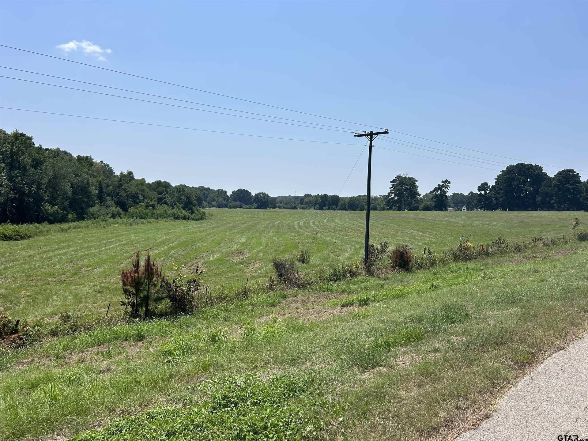 41 acres in Smith County gallery image 3