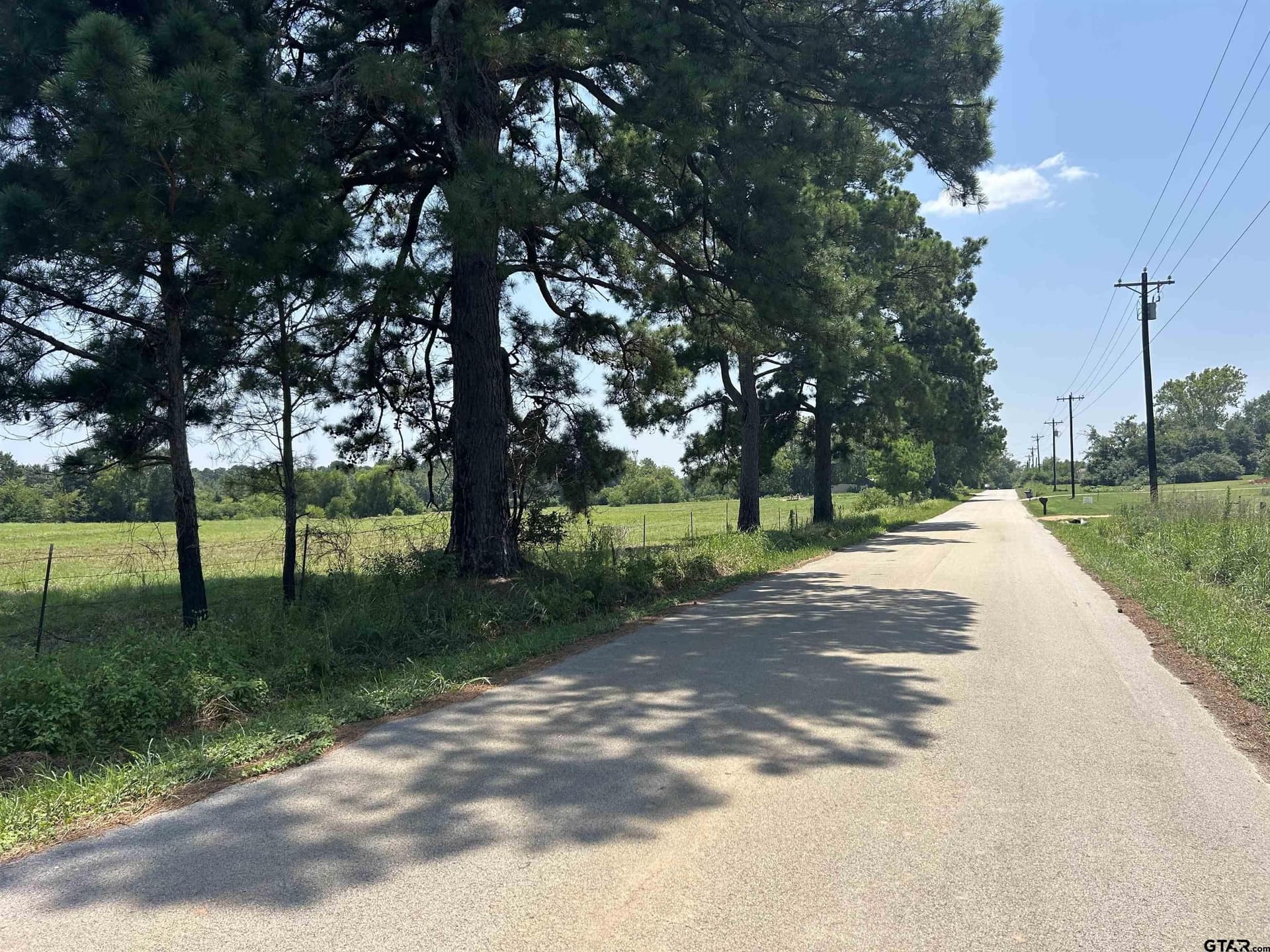 41 acres in Smith County featured view
