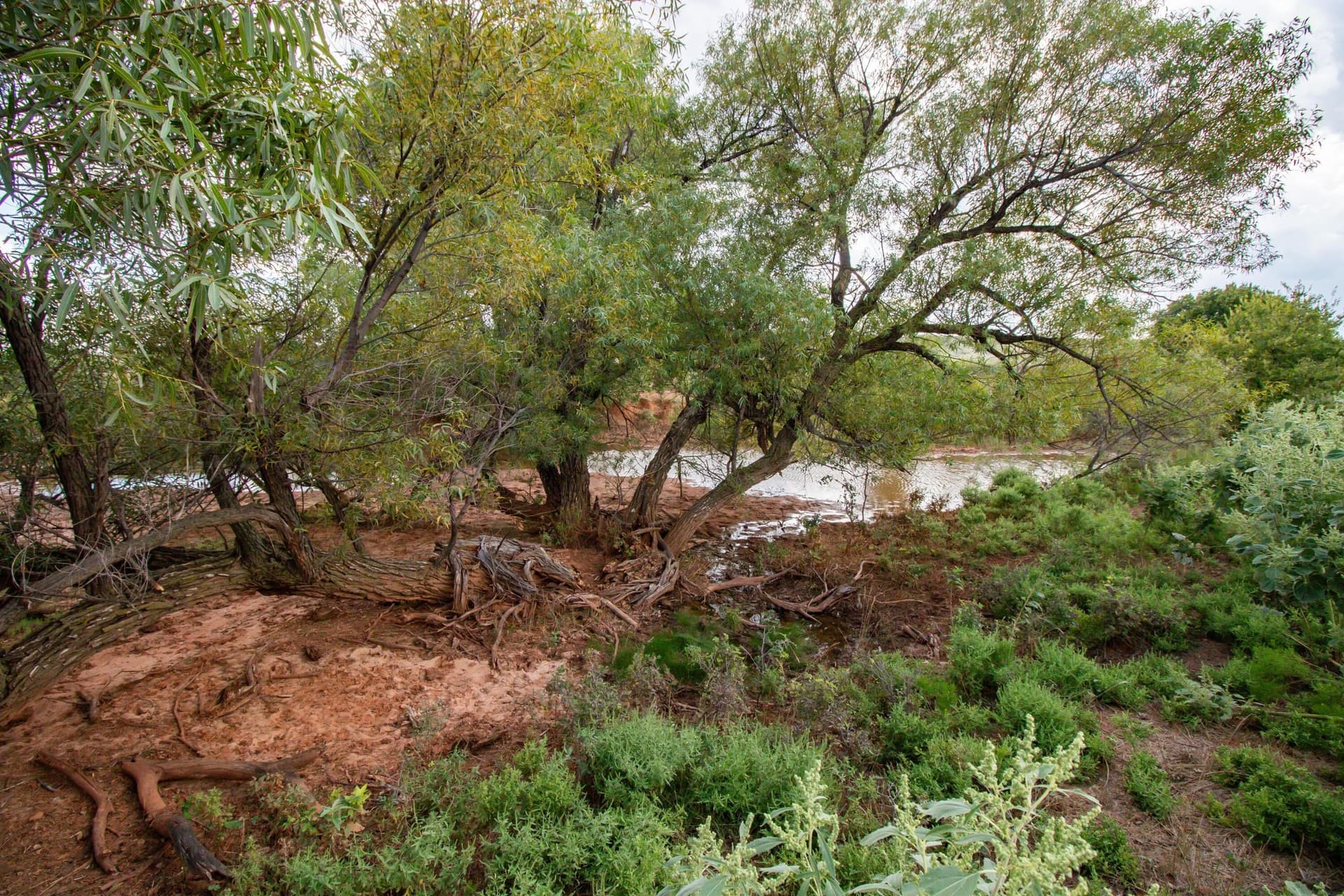 320 acres in Donley County gallery image 2