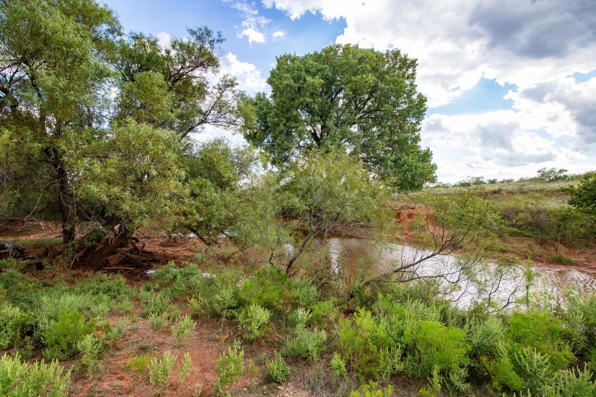 320 acres in Donley County