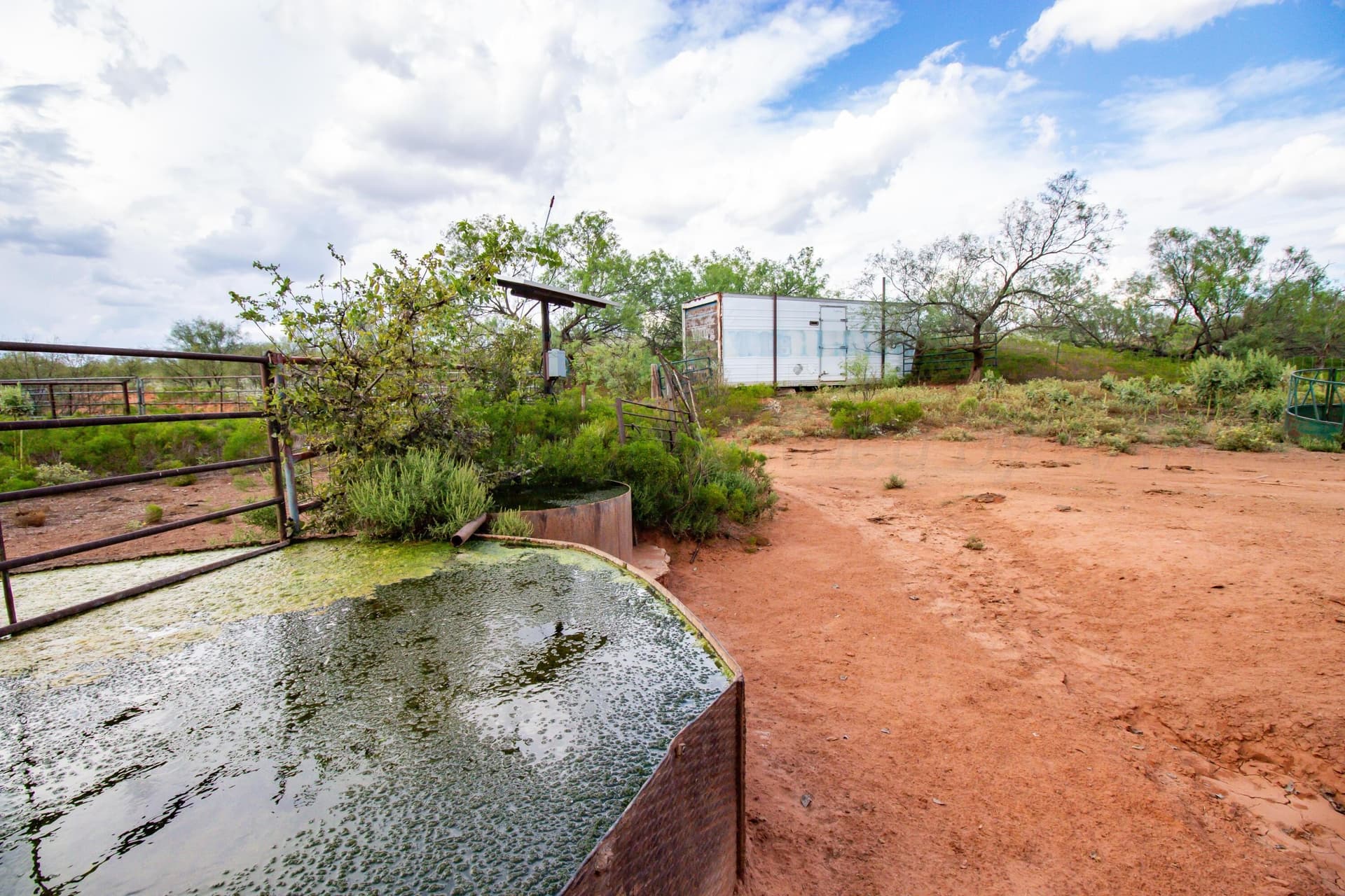 320 acres in Donley County gallery image 4