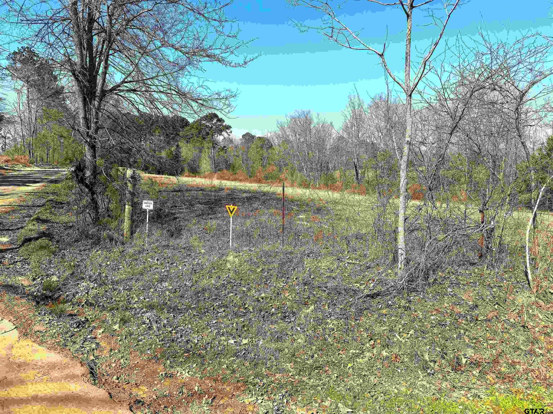 11.64 acres in Cass County gallery image 4
