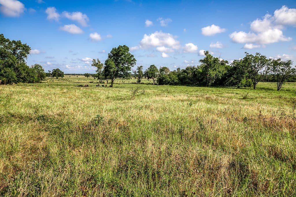 28.75 acres in Washington County gallery image 4