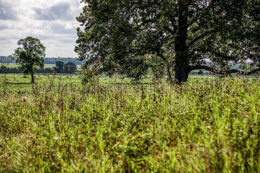 28.75 acres in Washington County