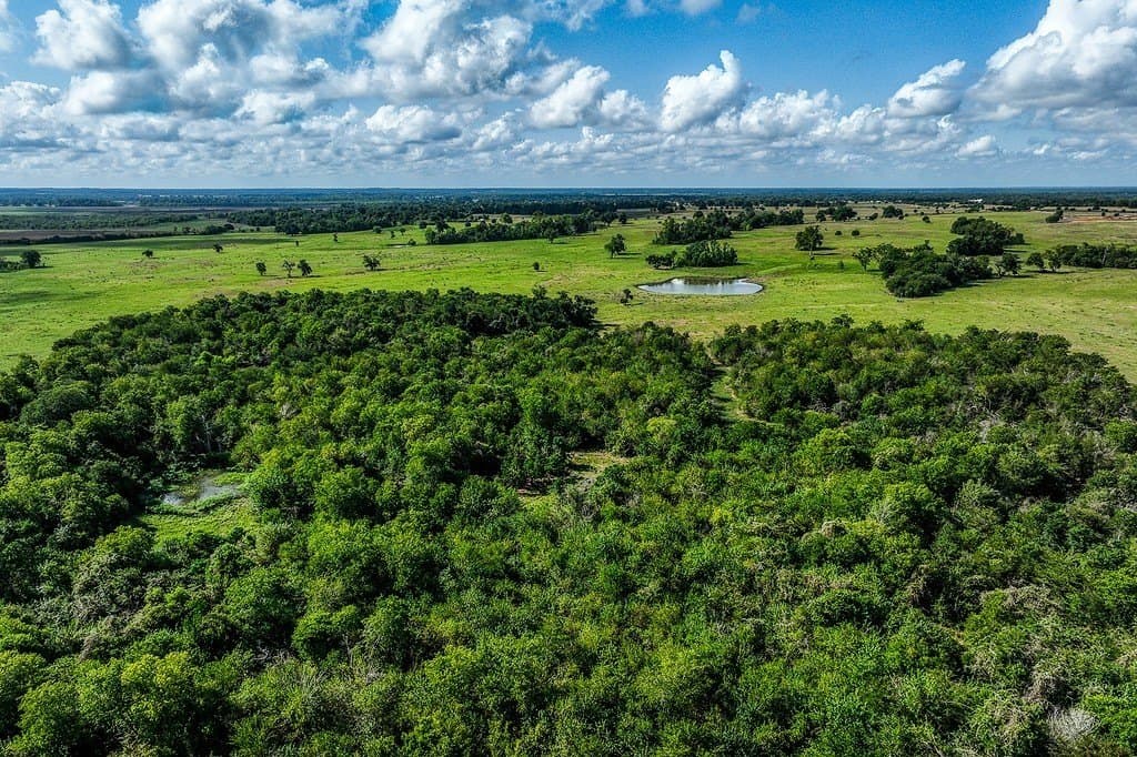 28.75 acres in Washington County gallery image 2