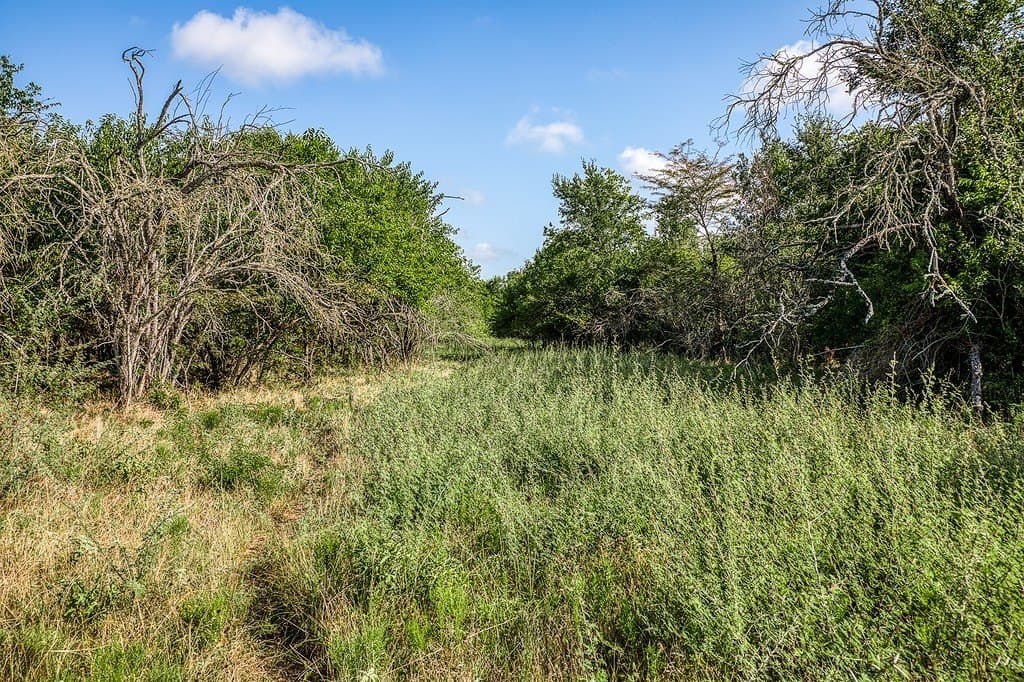 28.75 acres in Washington County gallery image 3