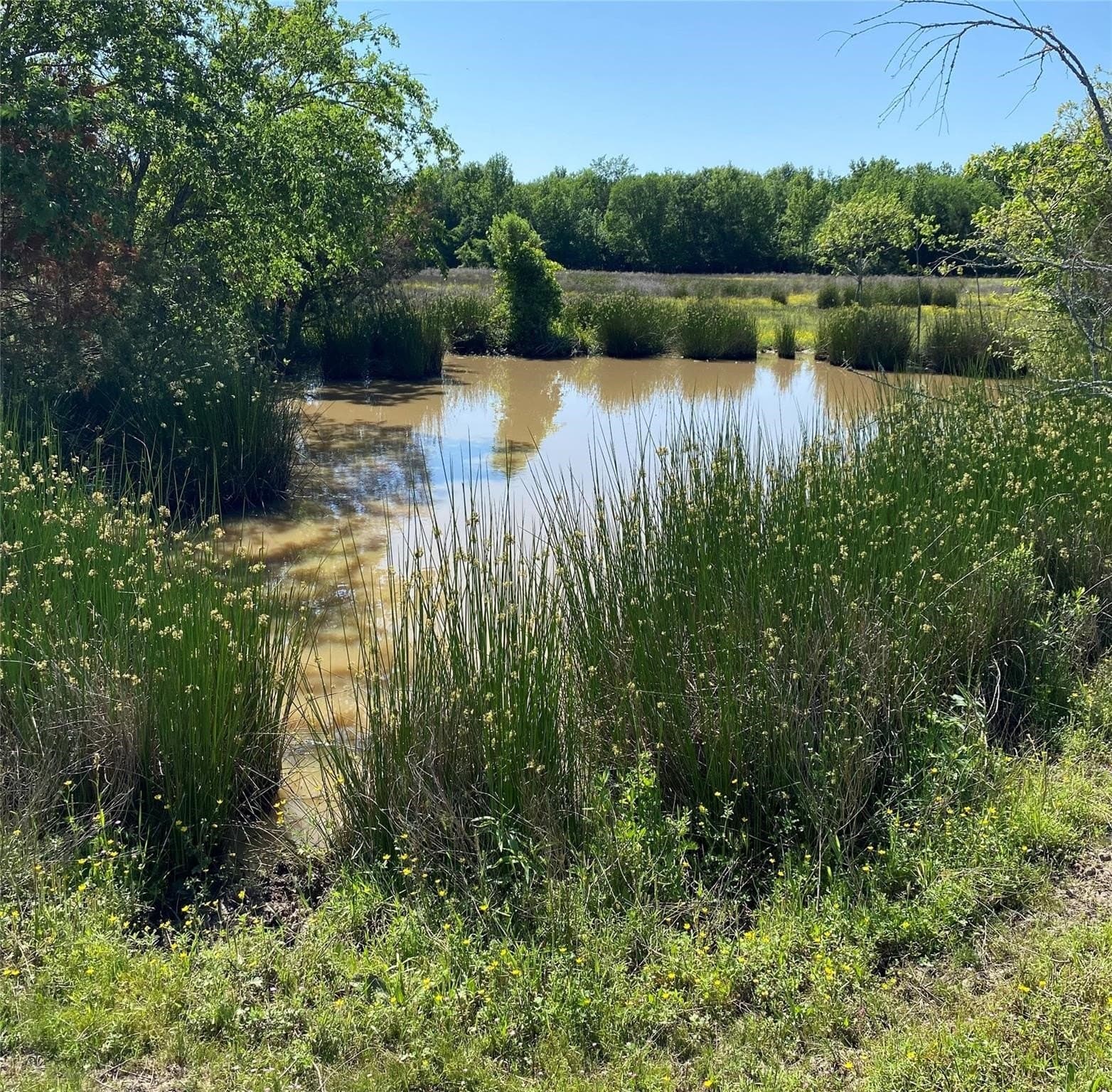 37.7 acres in Wood County featured view