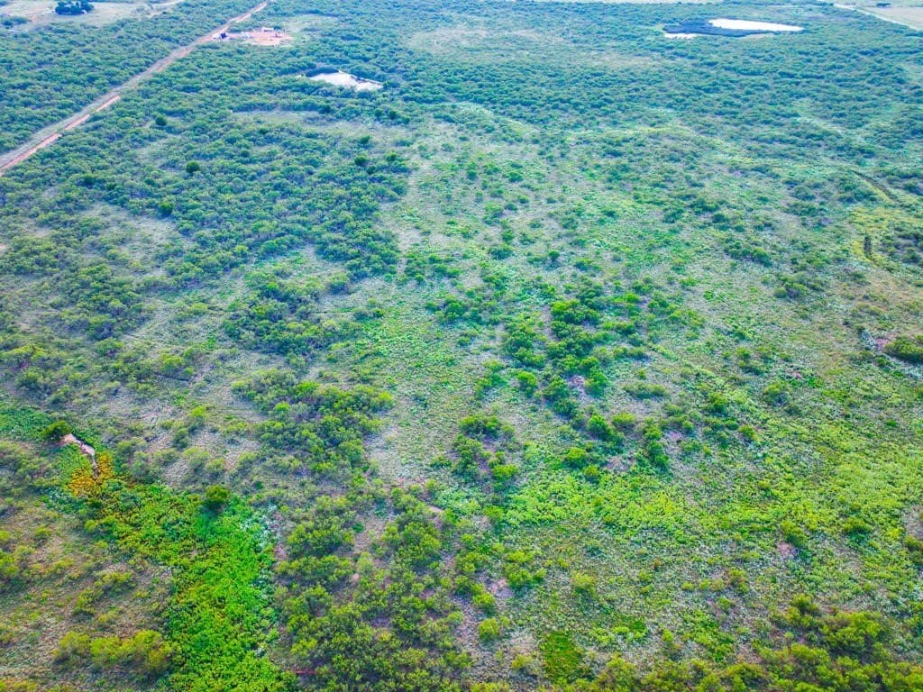 967 acres in Wichita County - photo 24