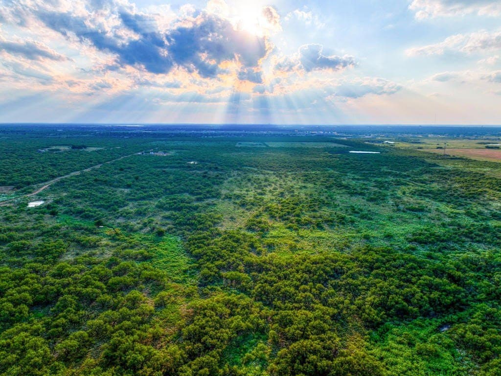 967 acres in Wichita County - photo 4