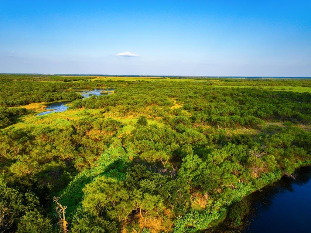 967 acres in Wichita County - photo 19