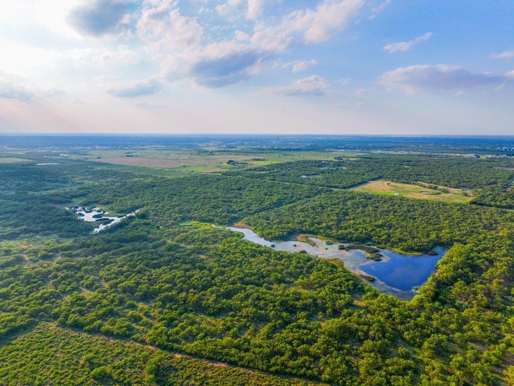 967 acres in Wichita County - photo 6