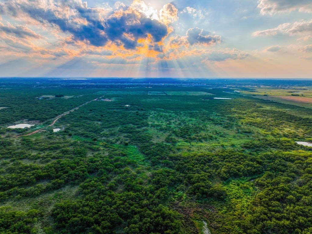 967 acres in Wichita County - photo 21