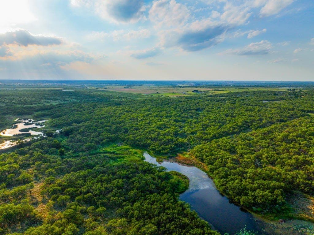 967 acres in Wichita County - photo 3