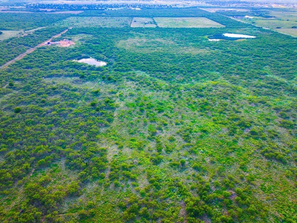 967 acres in Wichita County - photo 8