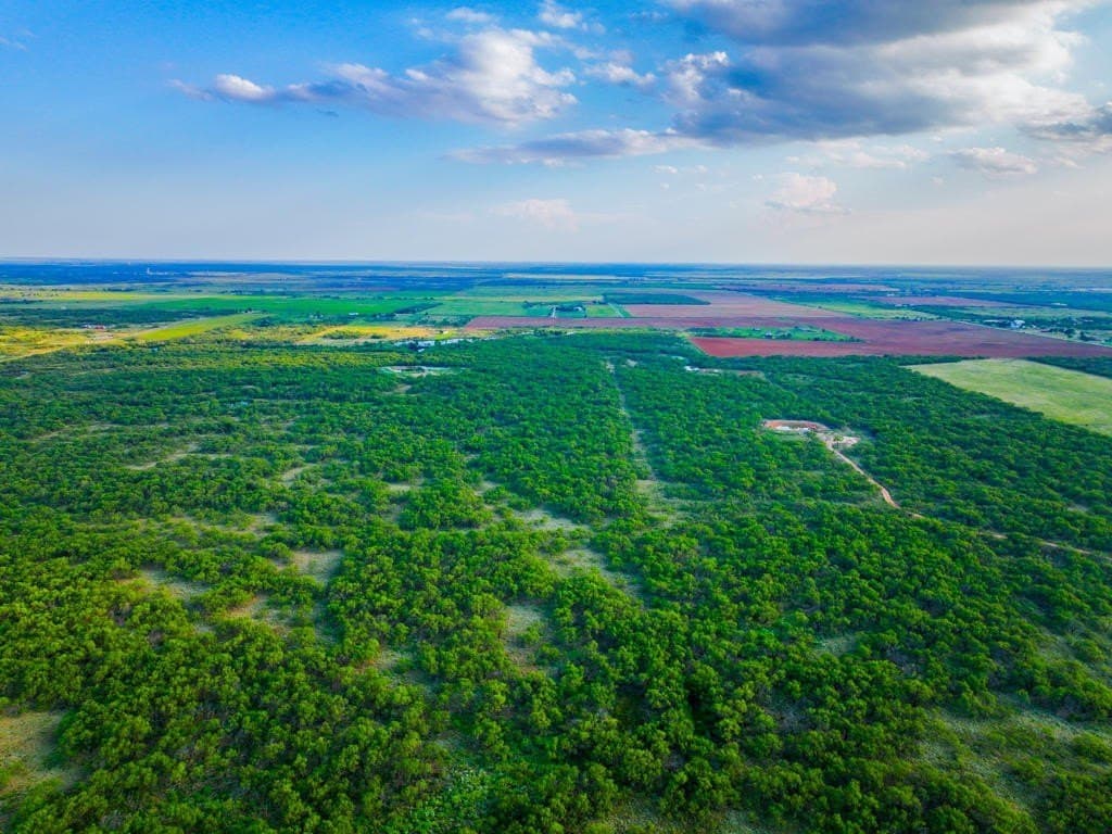 967 acres in Wichita County - photo 22