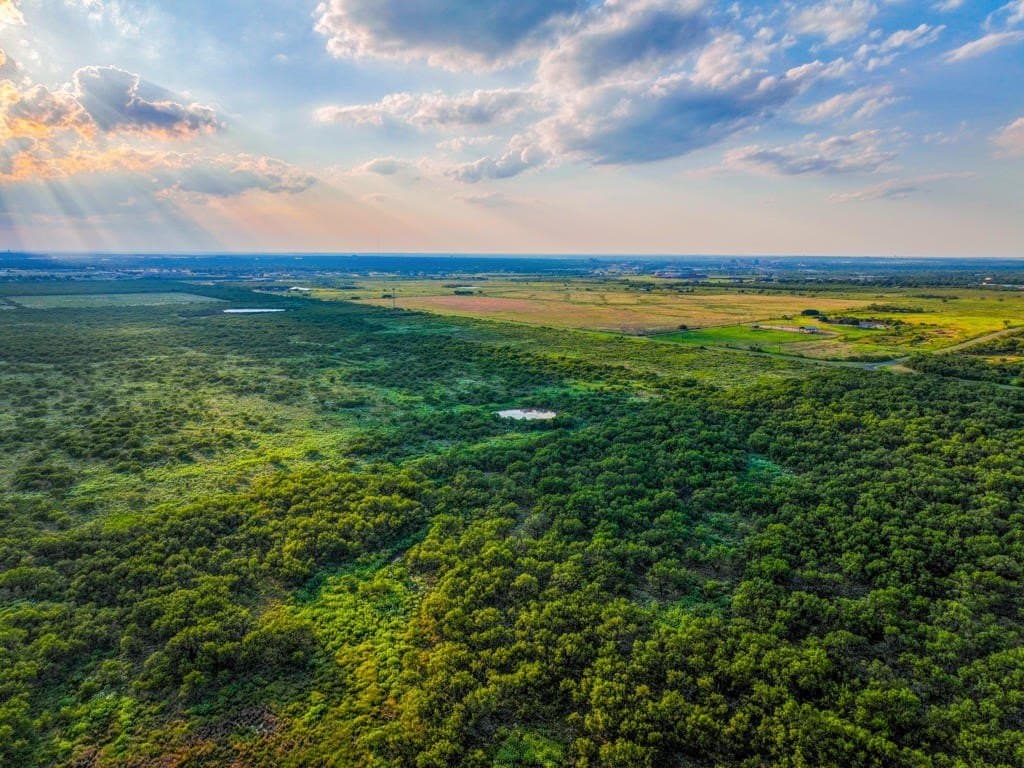 967 acres in Wichita County - photo 16