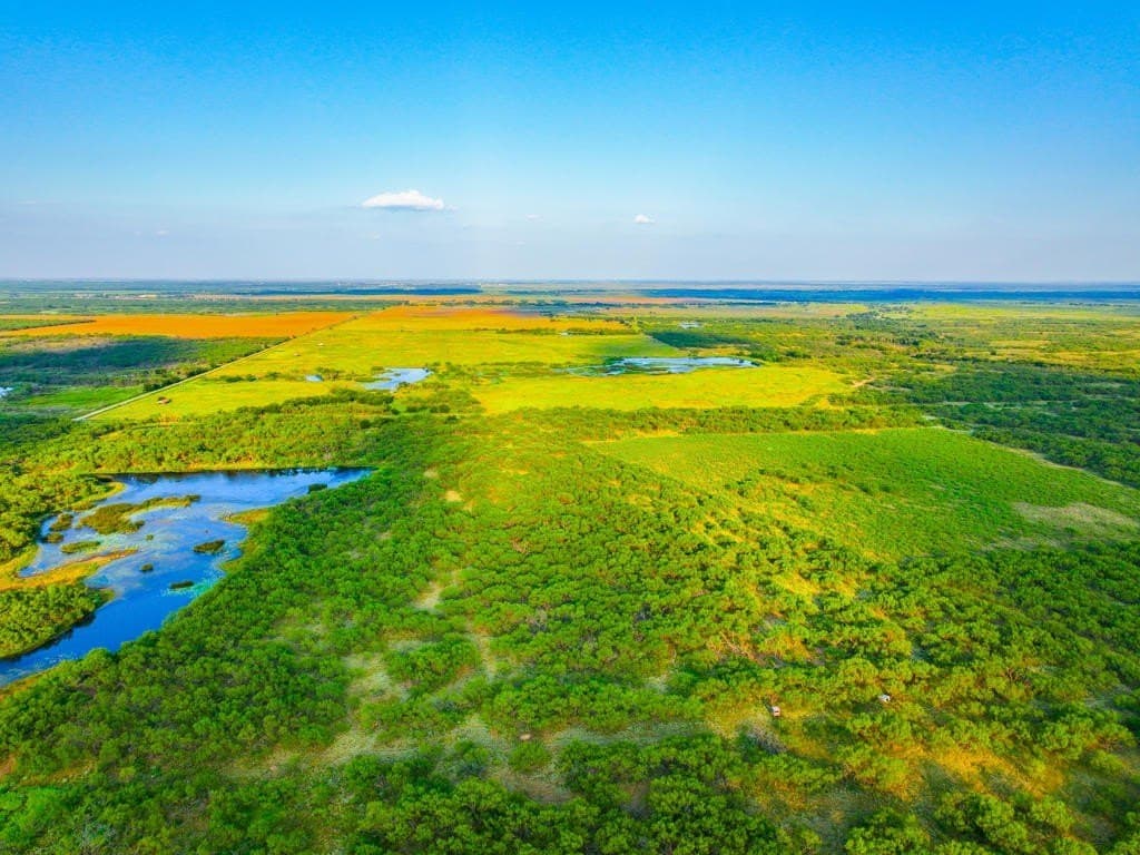967 acres in Wichita County - photo 10