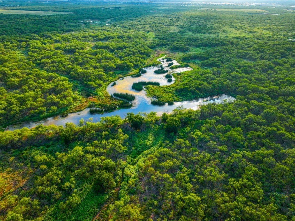 967 acres in Wichita County - photo 2