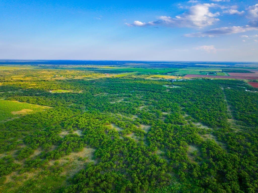 967 acres in Wichita County - photo 15