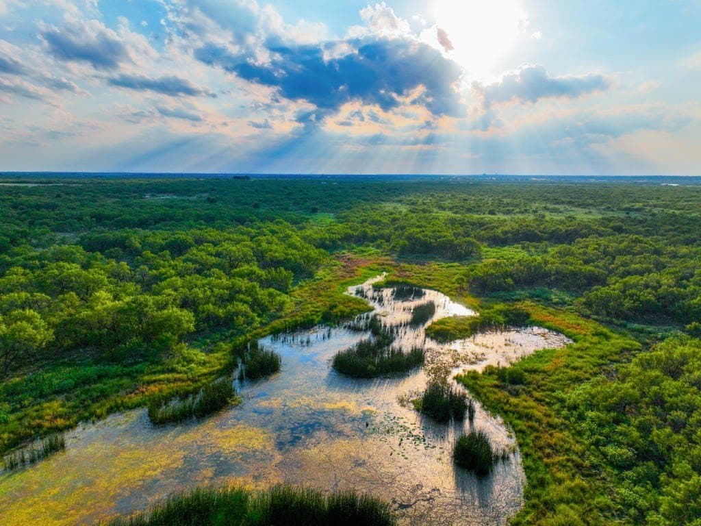967 acres in Wichita County - photo 18