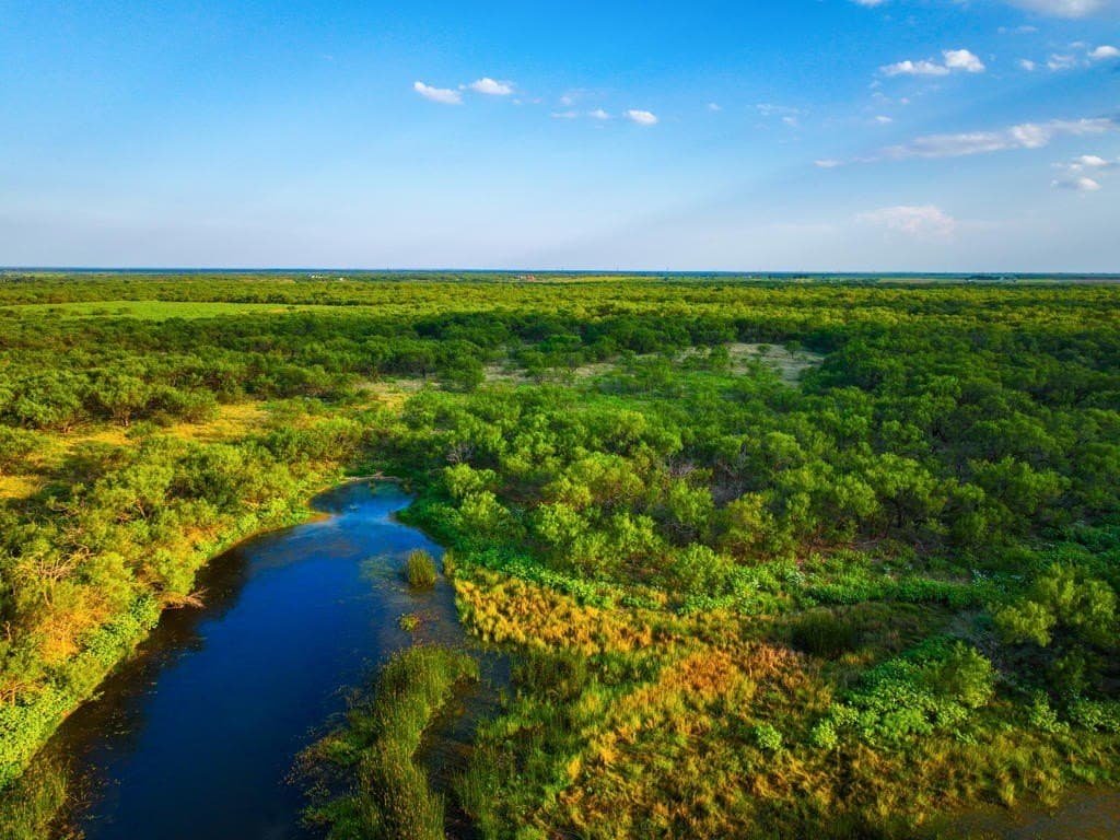 967 acres in Wichita County - photo 25