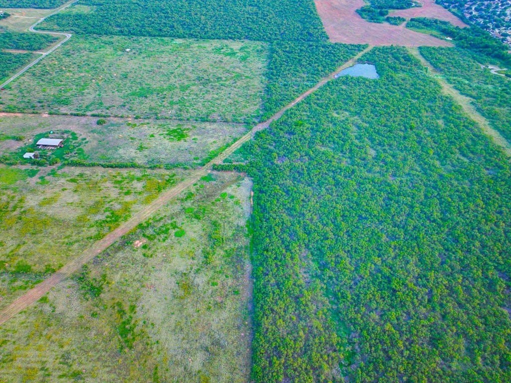 967 acres in Wichita County - photo 11