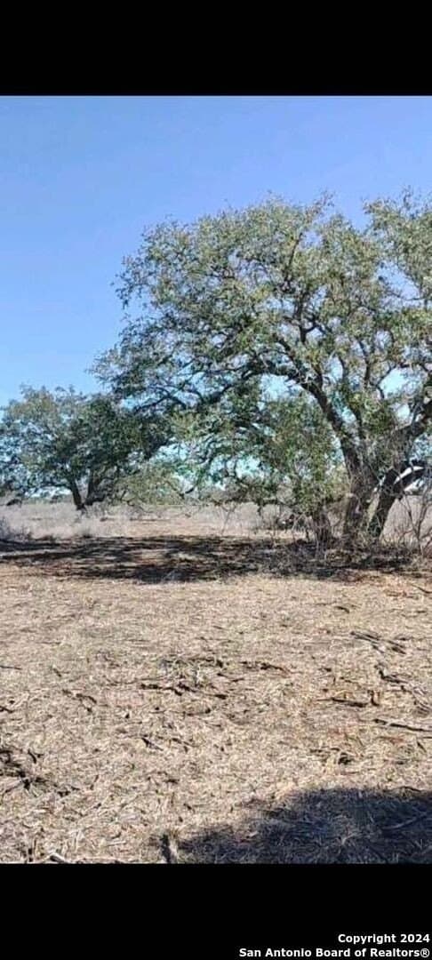 21.75 acres in Karnes County - photo 3