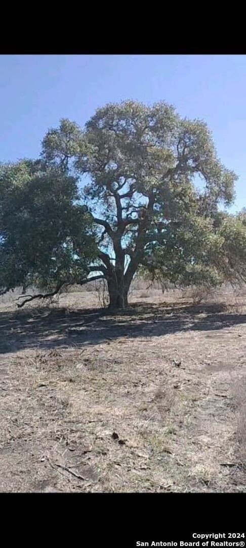 21.75 acres in Karnes County - photo 7