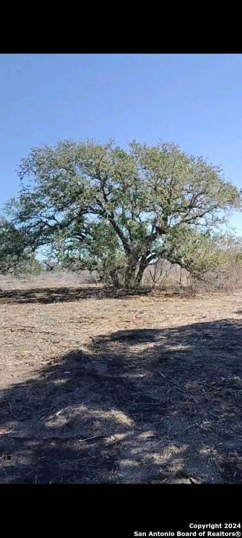 21.75 acres in Karnes County - photo 5