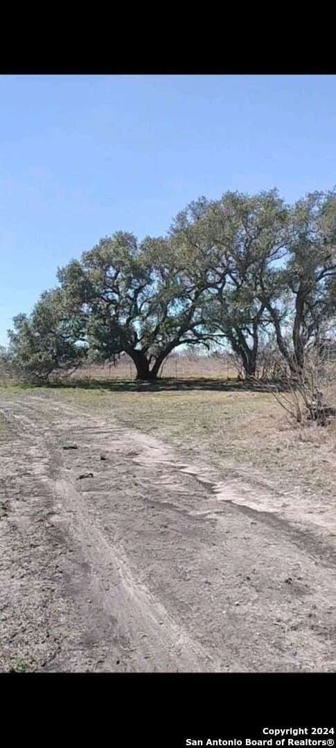 21.75 acres in Karnes County - photo 4
