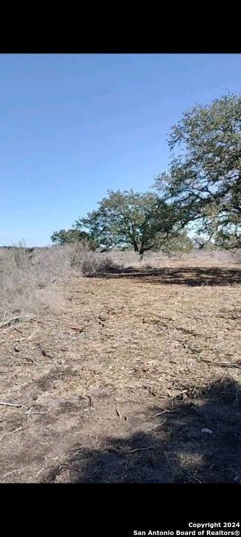 21.75 acres in Karnes County - photo 6