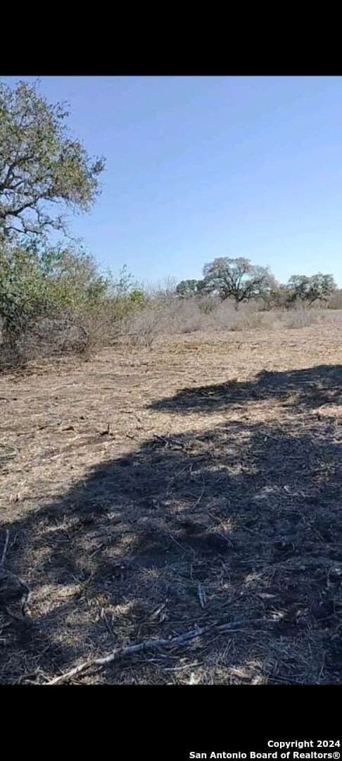 21.75 acres in Karnes County - photo 8