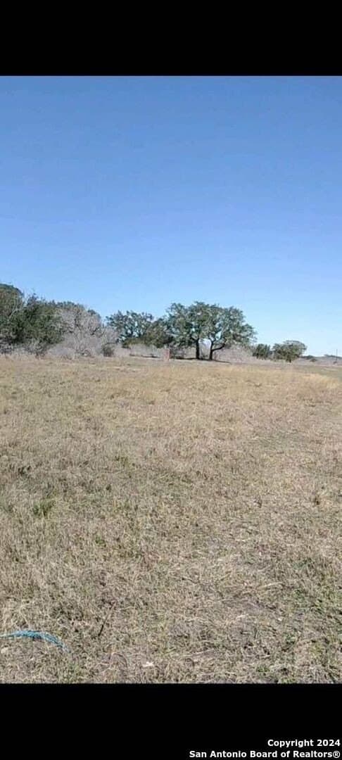 21.75 acres in Karnes County - photo 9