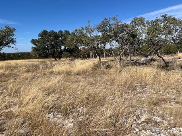 10.02 acres in Gillespie County - photo 6