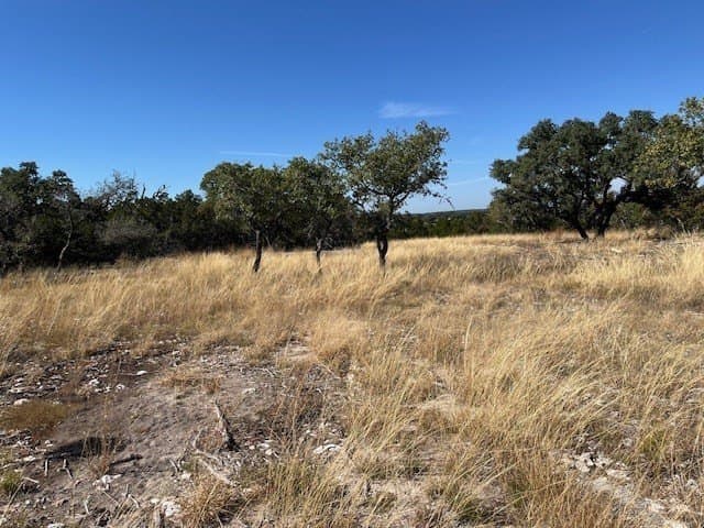 10.02 acres in Gillespie County - photo 4