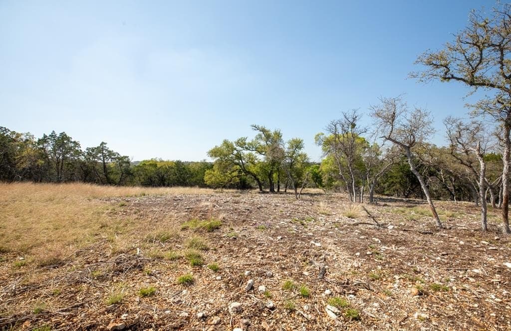 10.02 acres in Gillespie County - photo 10