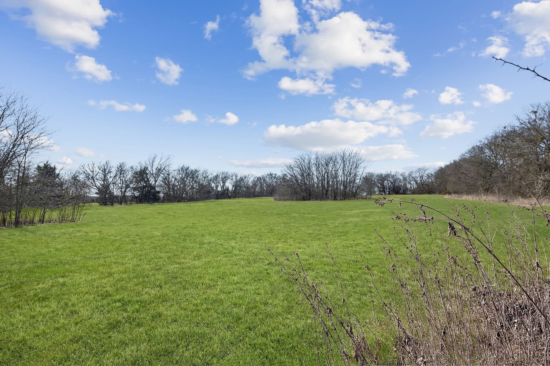 15 acres in Grayson County - photo 9