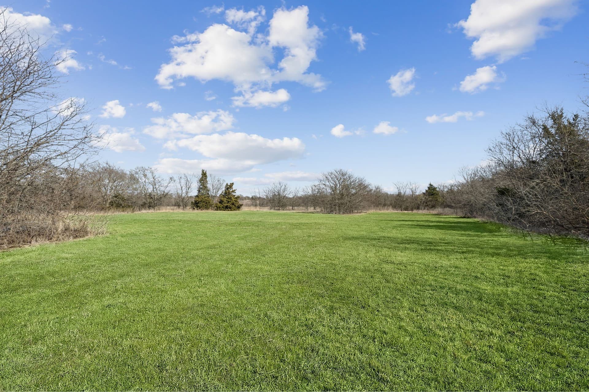 15 acres in Grayson County - photo 8