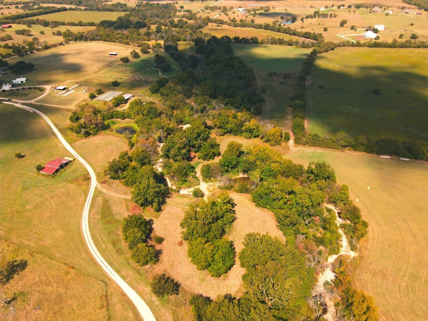 71.2 acres in Denton County gallery image 4