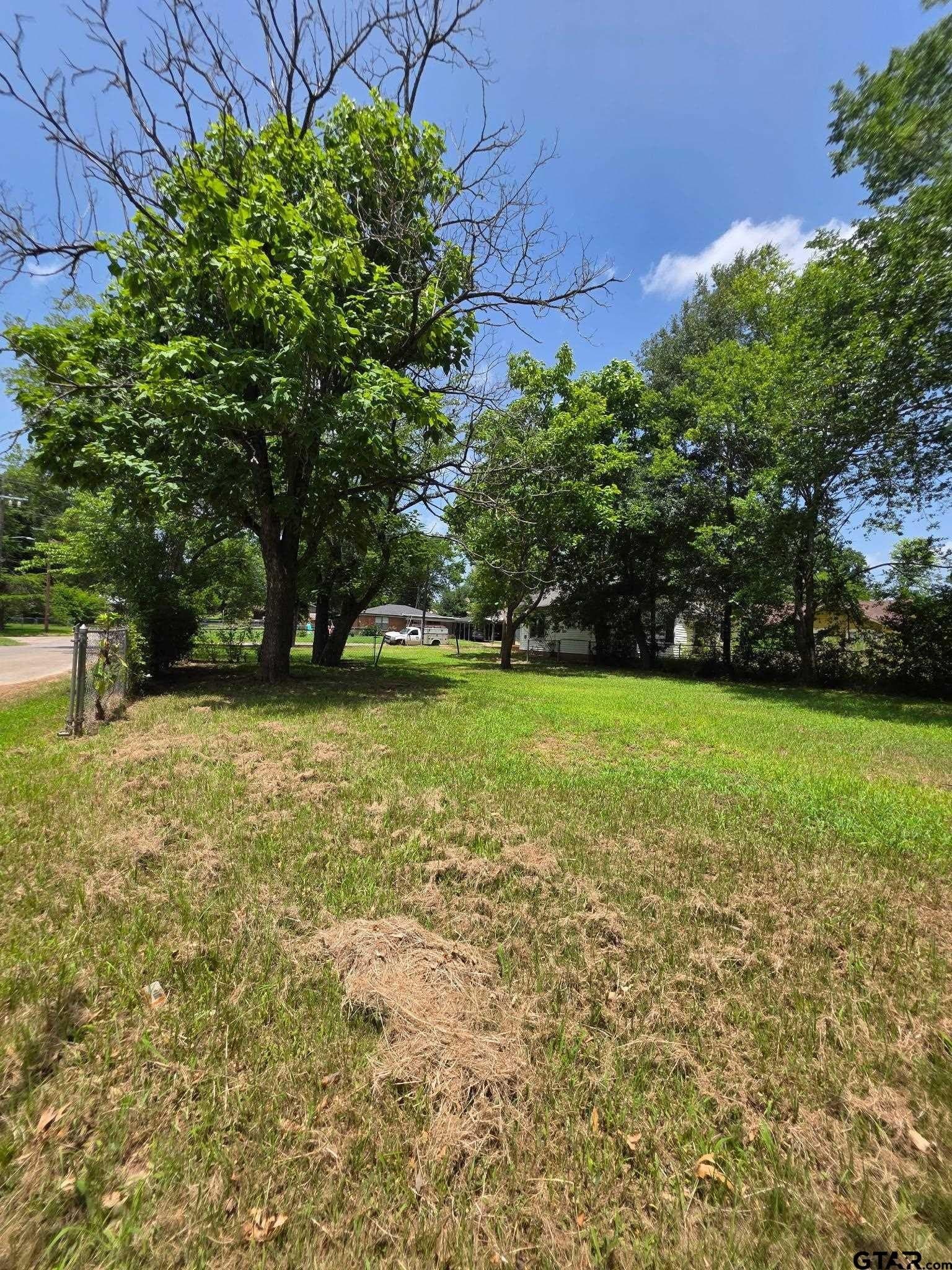 0.18 acres in Cherokee County gallery image 2