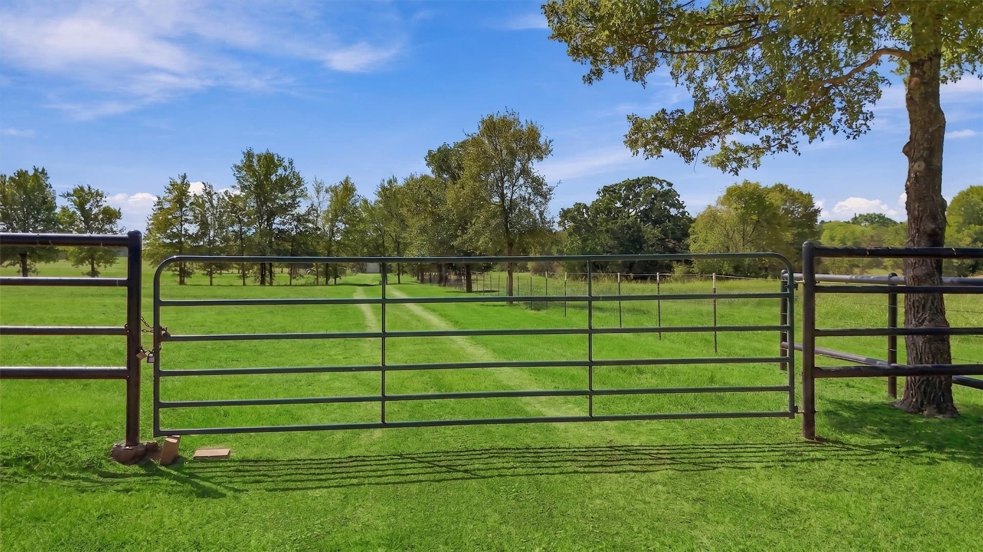 67.78 acres in Fannin County - photo 38