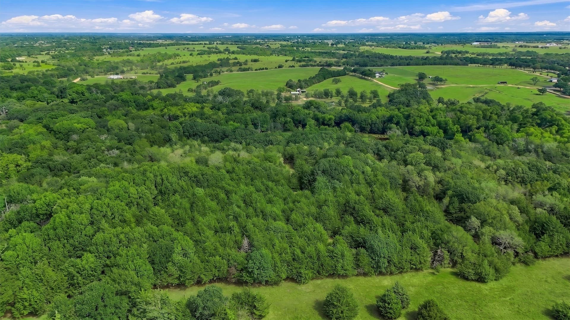 67.78 acres in Fannin County - photo 25