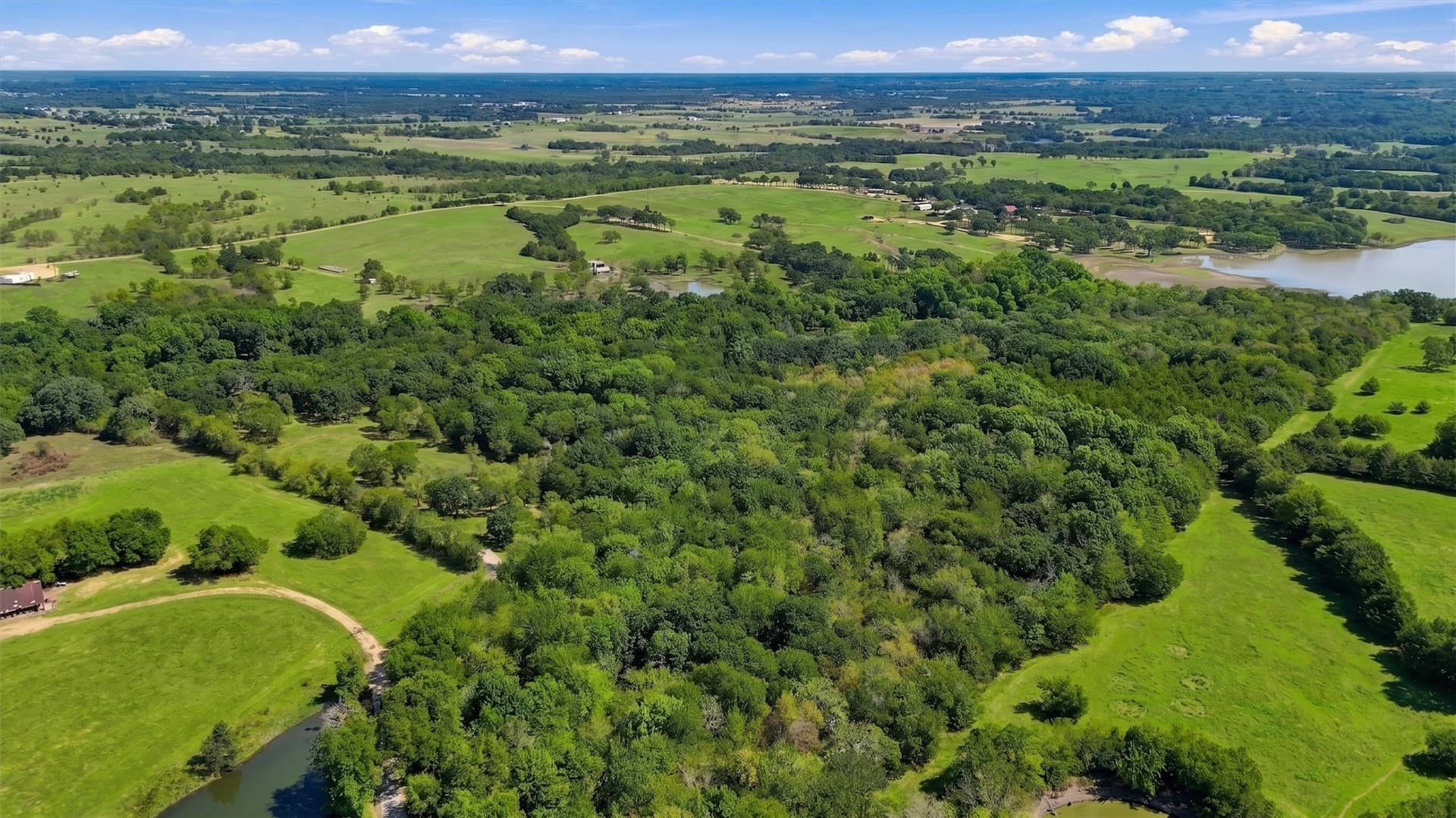 67.78 acres in Fannin County - photo 31